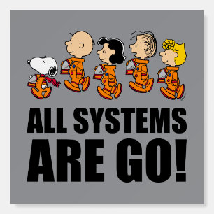 Peanuts   Space Foam Board