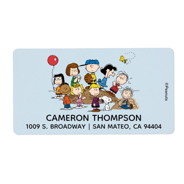 Peanuts | The Gang at the Pitcher's Mound Label (Front)