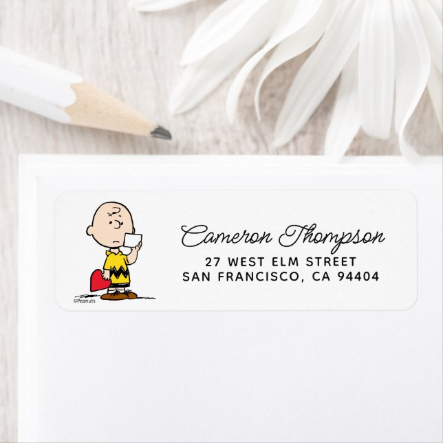 Peanuts | Valentine's Day Charlie Brown Valentine Label (Insitu)