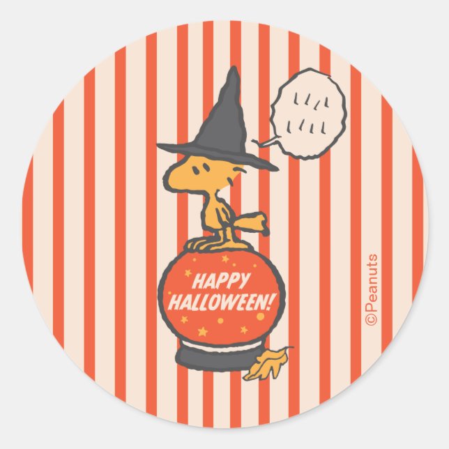 Peanuts | Vintage Woodstock Witch Stripes Classic Round Sticker (Front)