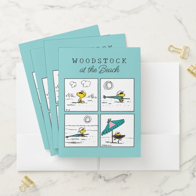 Peanuts | Woodstock at the Beach Pocket Folder (In Situ)