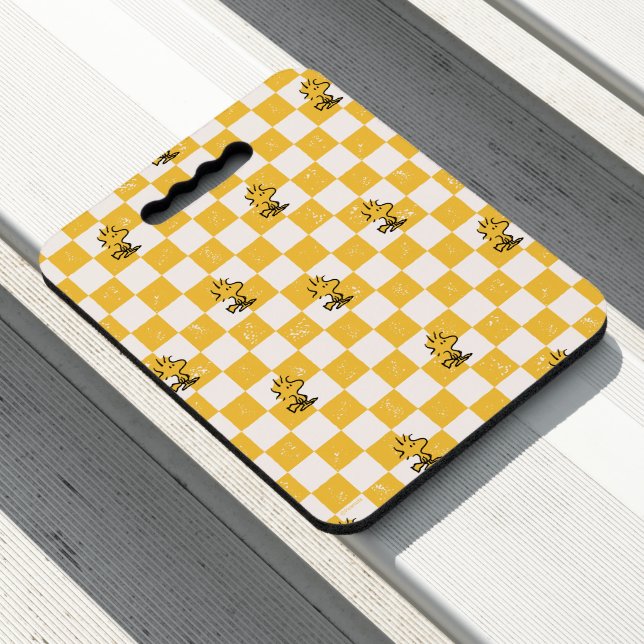 Peanuts | Woodstock Checkered Flag Seat Cushion (In Situ)