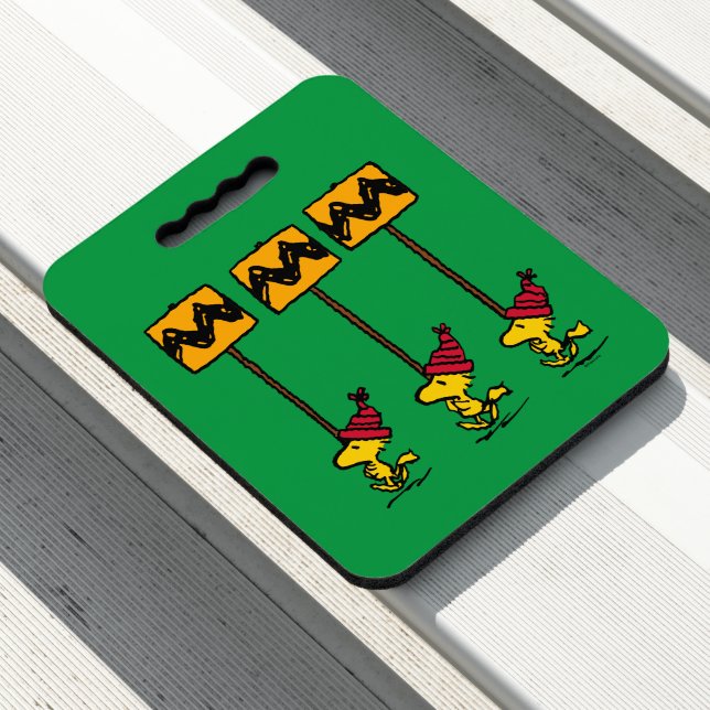 Peanuts | Woodstock & Friends Sign March Seat Cushion (In Situ)