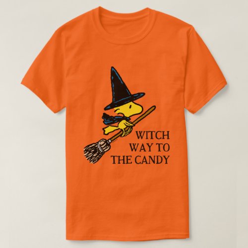 Peanuts  Woodstock Halloween Witch T_Shirt