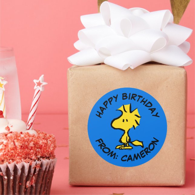 Peanuts | Woodstock | Happy Birthday Classic Round Sticker (Party)