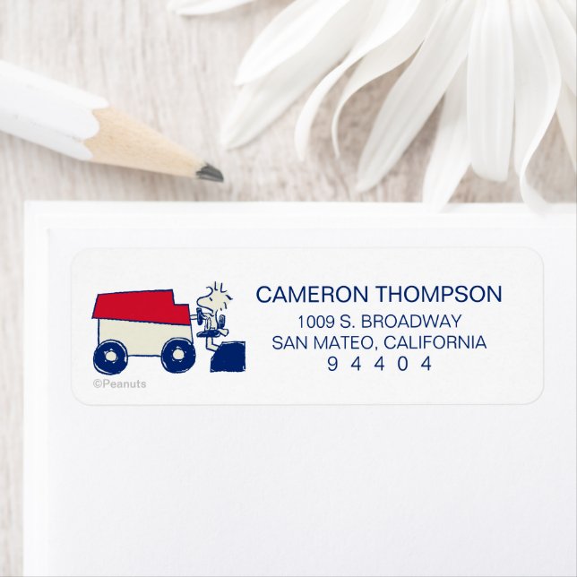 Peanuts | Woodstock Ice Resurfacing Machine Label (Insitu)