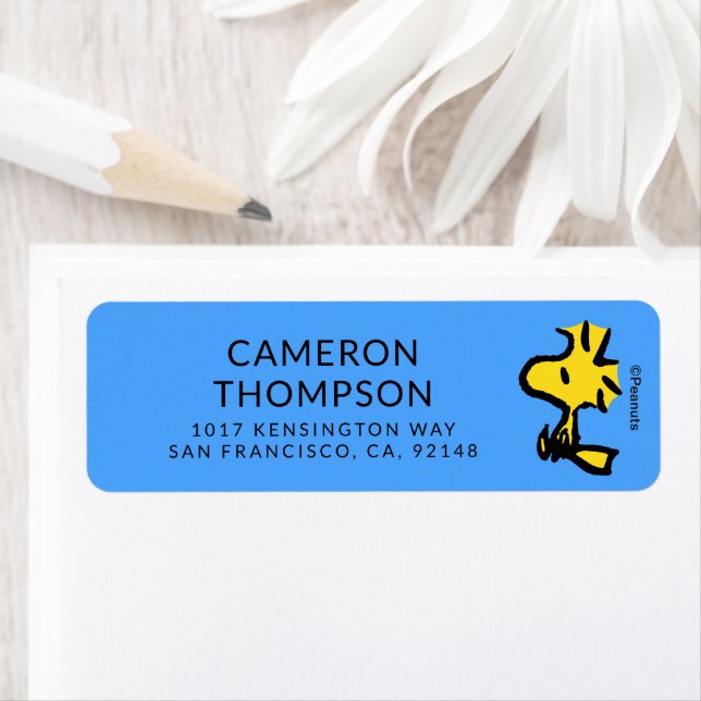 Peanuts | Woodstock Looking Ahead Label (Insitu)