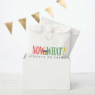 Peanuts Woodstock Now What Graduation Funny Quote Favor Bag