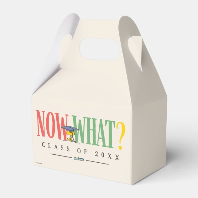 Peanuts Woodstock Now What Graduation Funny Quote Favor Boxes (Front Side)