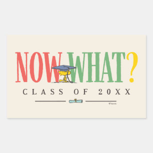 Peanuts Woodstock Now What Graduation Funny Quote Rectangular Sticker