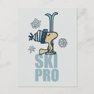 Peanuts Woodstock Ski Pro Postcard