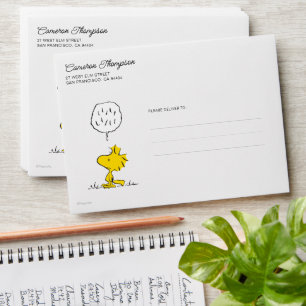 Peanuts Woodstock Speaks & Polka Dots Envelope