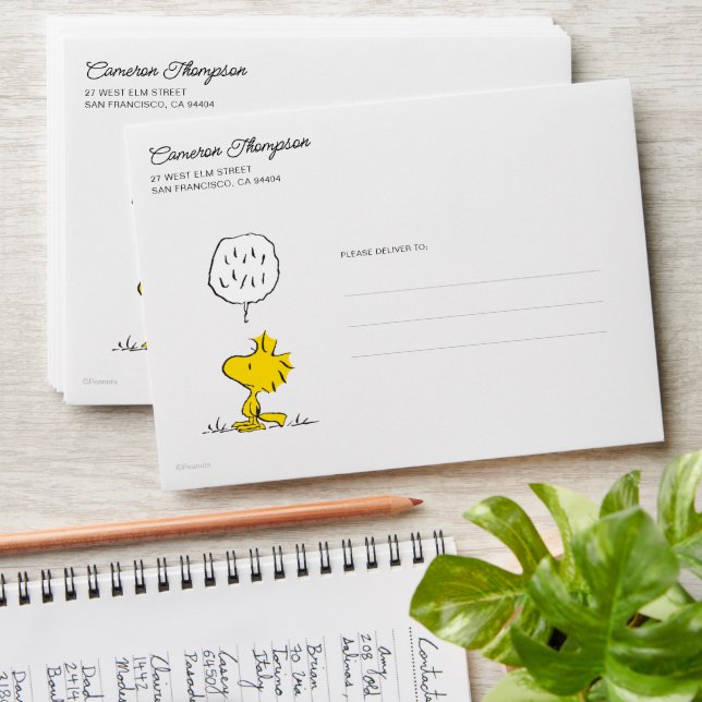 Peanuts | Woodstock Speaks & Polka Dots Envelope (Stacked)