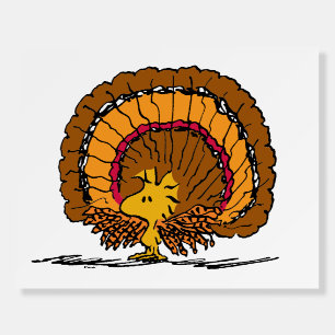 Peanuts   Woodstock Turkey Foam Board
