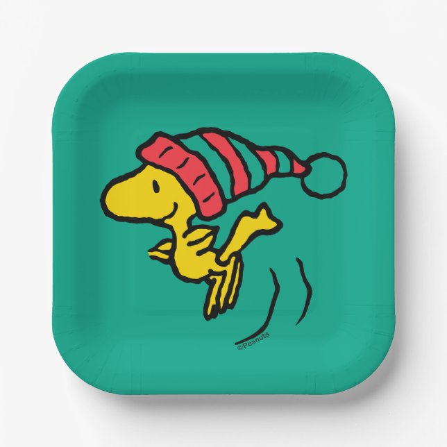 Peanuts | Woodstock Winter Beanie Cap Paper Plates (Front)