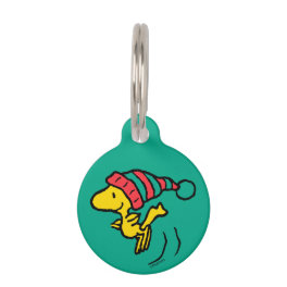 Peanuts Woodstock Winter Beanie Cap Pet ID Tag