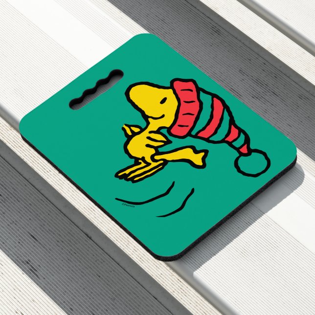 Peanuts | Woodstock Winter Beanie Cap Seat Cushion (In Situ)