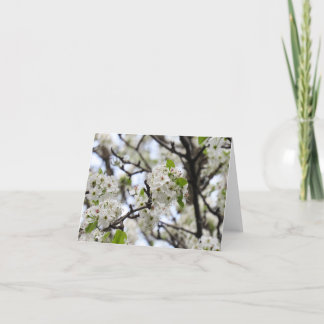 Pear Blossom Note Card