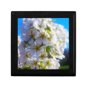  Pear Blossoms  Gift Box