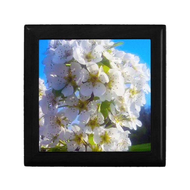  Pear Blossoms  Gift Box (Front)