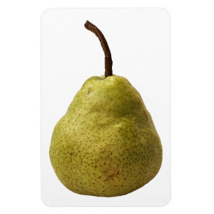Pear Fruit Photo Magnet