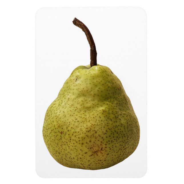 Pear Fruit Photo Magnet (Vertical)