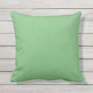 Pear Green Solid Color Outdoor Throw Pillow 16x16