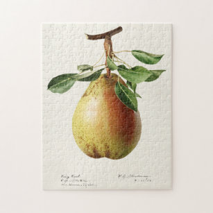 Pear (Pyrus Communis) Fruit Watercolor Painting Jigsaw Puzzle