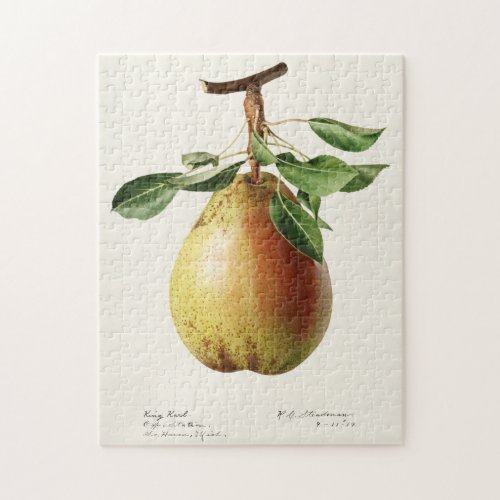 Pear Pyrus Communis Fruit Watercolor Painting Jigsaw Puzzle