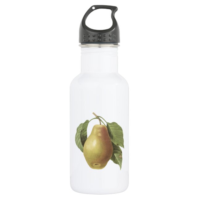 pear(Pyrus sp.) by Redouté Water Bottle (Front)