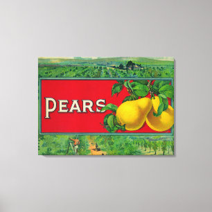 Pear Stock Crate Label Canvas Print