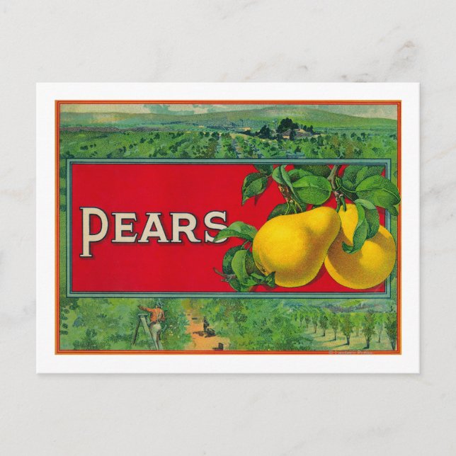 Pear Stock Crate Label Postcard (Front)