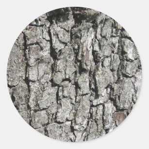 Pear tree bark texture background classic round sticker