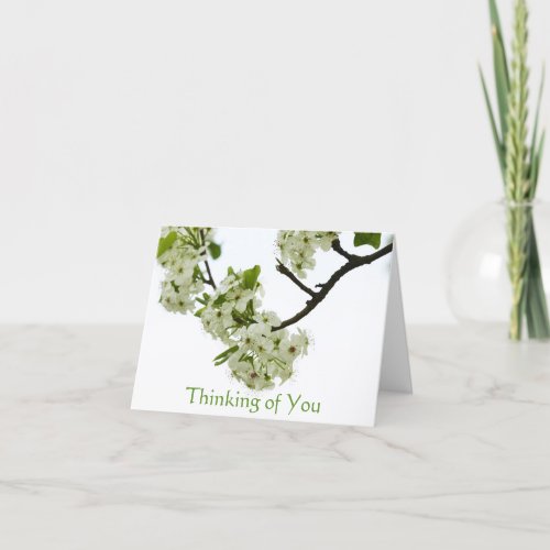 Pear Tree Branch Card