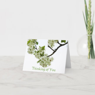 Pear Tree Branch Thinking of You, Blank Inside Card