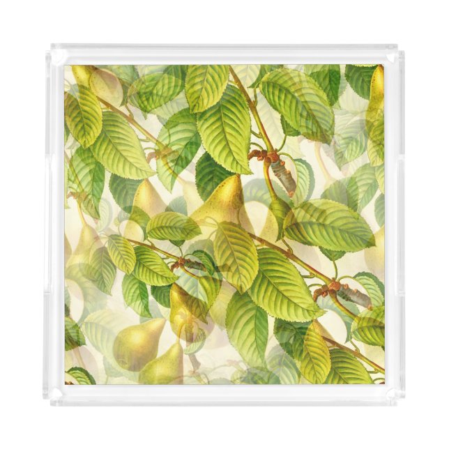 Pear Tree Branches & Pears Pattern  Acrylic Tray (Front)