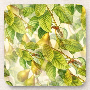 Pear Tree Branches & Pears Pattern  Beverage Coaster