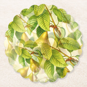 Pear Tree Branches & Pears Pattern  Paper Coaster