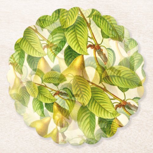 Pear Tree Branches  Pears Pattern  Paper Coaster