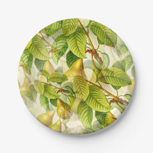 Pear Tree Branches  Pears Pattern  Paper Plates