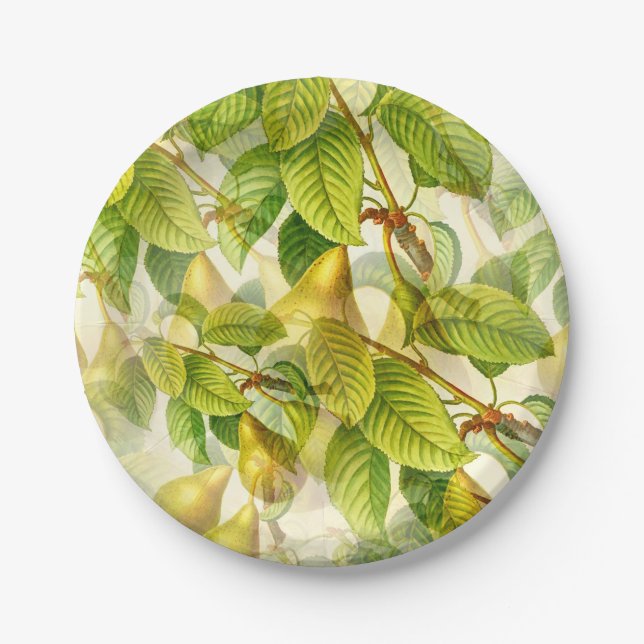 Pear Tree Branches & Pears Pattern  Paper Plates (Front)