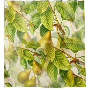 Pear Tree Branches & Pears Pattern Shower Curtain