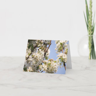 Pear Tree Flowers Note Card