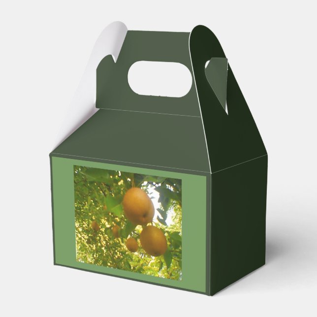Pear Tree Harvest Favor Boxes (Back Side)