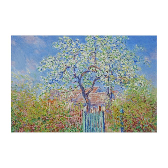 Pear Tree in Flower - Claude Monet Acrylic Print (Front)