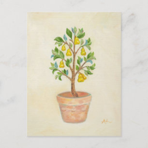 Pear Tree postcard