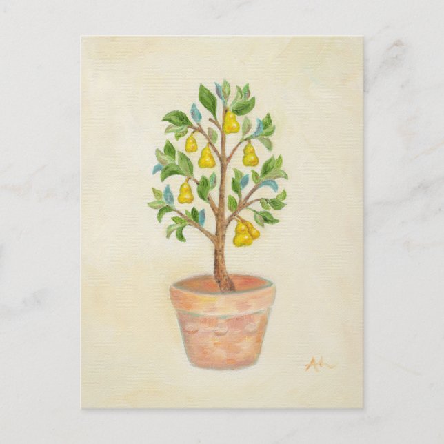 Pear Tree postcard (Front)