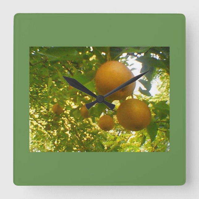 Pear Tree Square Wall Clock (Front)