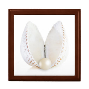 Pearl and seashell jewelry box