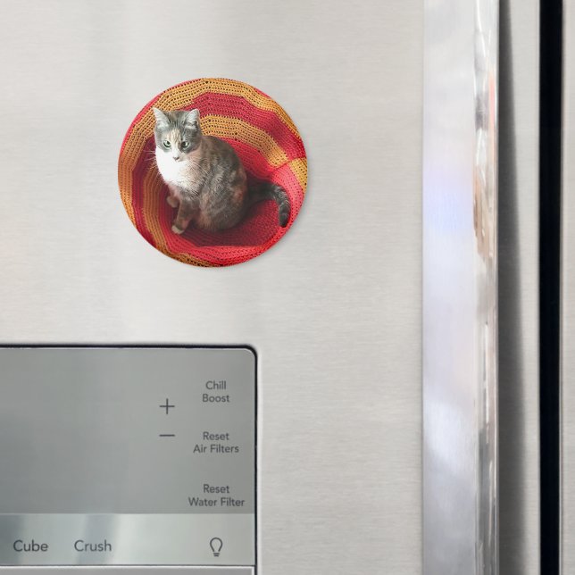 Pearl Cat on Afghan Magnet (In Situ (Fridge))